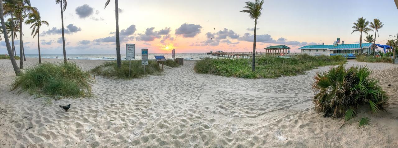 Sea Cliff Hotel ラウダーデール・バイ・ザ・シー エクステリア 写真